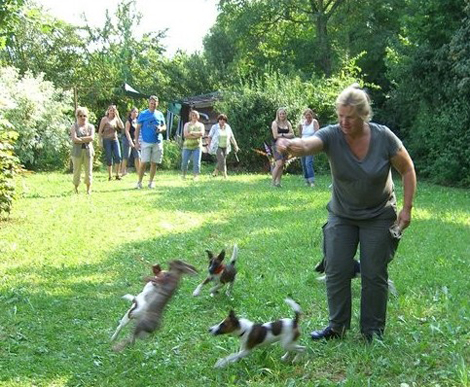 Welpentreffen 2009