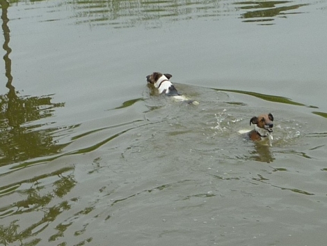 Wer ist da im Wasser?-fragen sich Xeny und Xylona