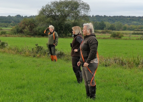 Bundeszuchtpr�fungssiegerin